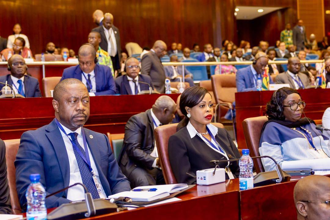 OEACP : vers le renforcement du rôle du secteur privé